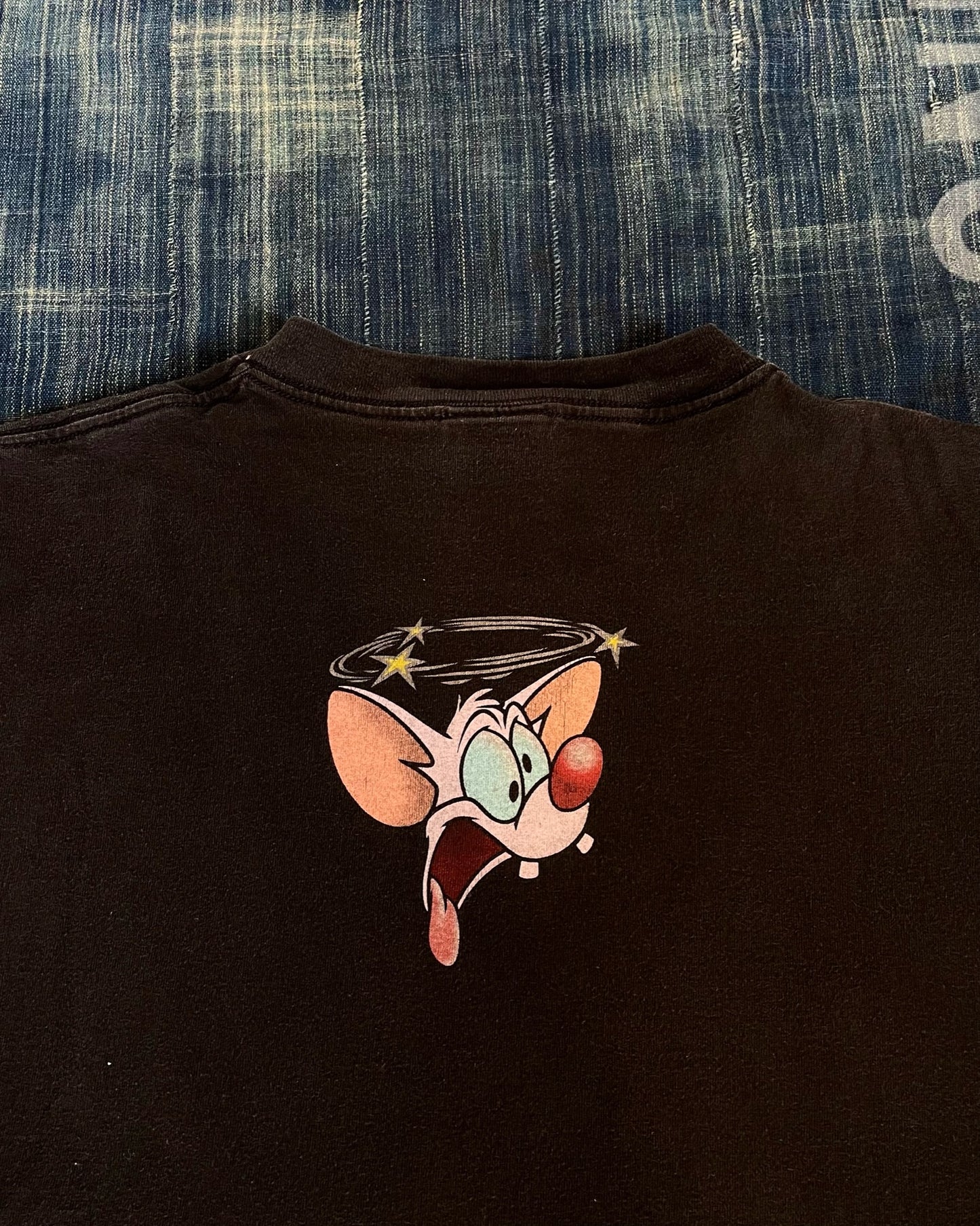 RARE Vintage 1990s Pinky and The Brain T-shirt